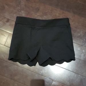 Loft NWT Riviera shorts in black size 2